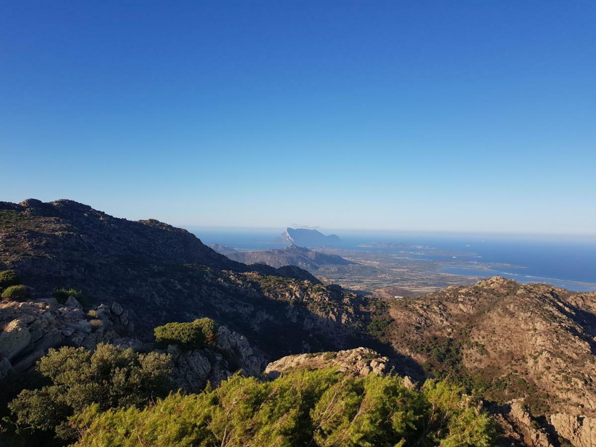 Villa Dettori San Teodoro  Buitenkant foto
